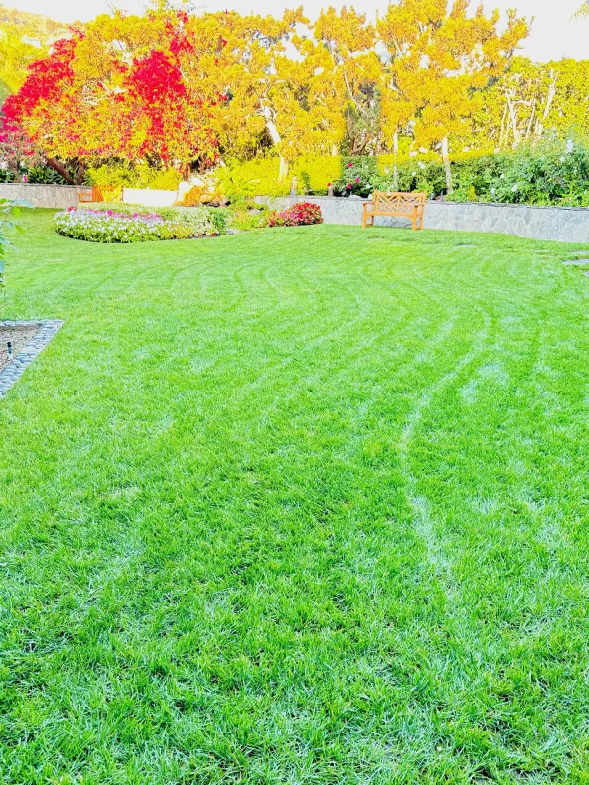 img25
